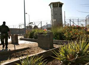 Inmates at San Quentin have created a tiny retreat for themselves within the prison yard walks: a 1200-square organic garden.
