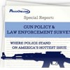 P1 Gun Control Survey
