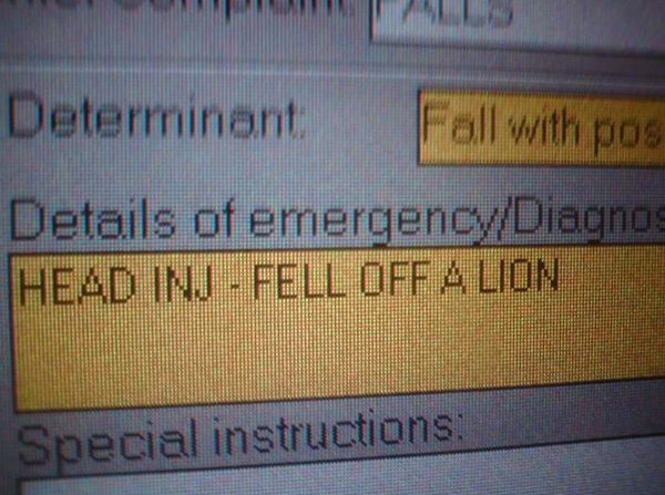 funny real ems calls, fell off lion