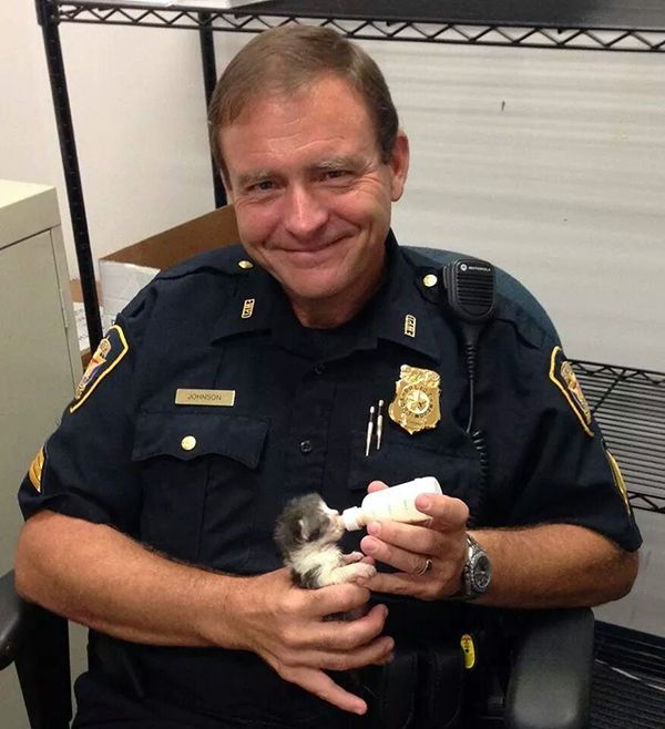 police animal rescues, kittens