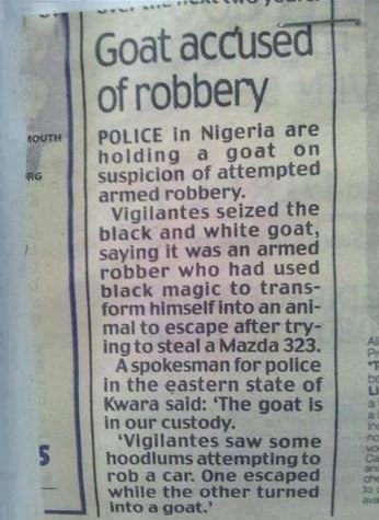 goat accused of robbery