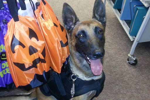 AP Photo/John Javellana