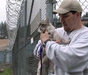 Bunking with cats, inmates learn value of teamwork
