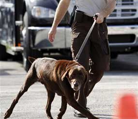 In this Tuesday, Dec. 6, 2011, photo, Miami-Dade detective Douglas Bartelt and narcotics detector canine Franky give a demonstration in Miami.