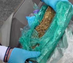 Photo of the marijuana found attached to the railcar at the Daikin plant on Thursday.