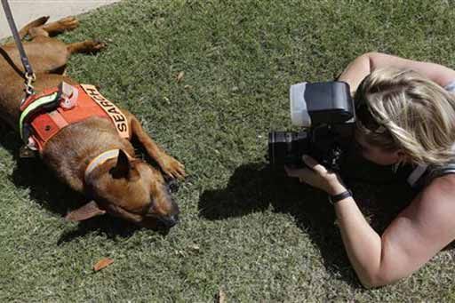 AP Photo