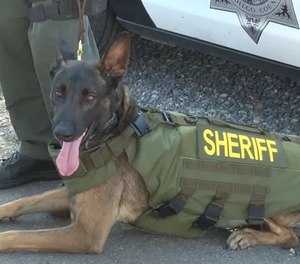 K-9's have an important job at the Sheriff's Department to help keep you safe, but it's also a dangerous one.