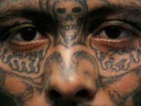 Prison Gangs