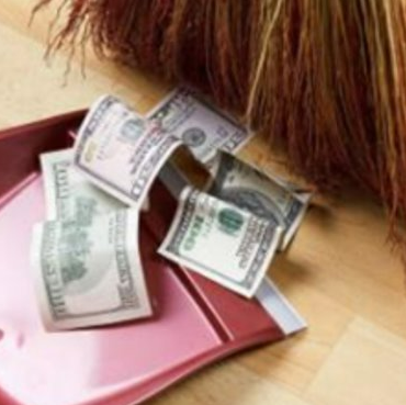 Free On-Demand Webinars from ZOLL Data Systems​