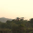 NETRA V4 UAV, The High-altitude Sentinel