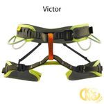 Kong Victor Harness - CLEARANCE