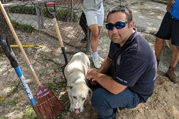 The department was even able to find a foster home for the dog.