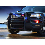 LED Lighted Push Bumpers