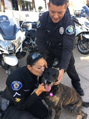 In this photo, Garden Grove PD motor officer Katherine Anderson gives Puskas a kiss. Anderson was the officer who was nearly run over by the suspect Puskas took down in February.