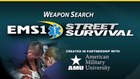 What to look for during a weapon search
