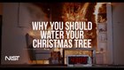 Christmas tree fire: Watered tree vs. dry tree