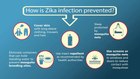 Animated infographic: What you need to know about Zika virus