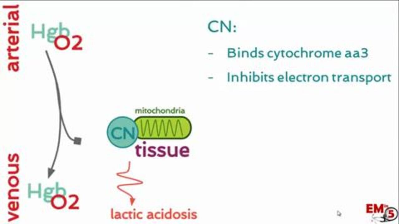 Video: Causes and signs of cyanide toxicity