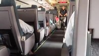K-9 bomb detection on Amtrak