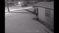 Pizza man set up, robbed during delivery 