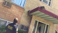 Ill. police stop second jumper from roof