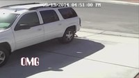 Hero cat saves boy from dog attack
