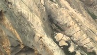 Firefighters Save Man Stuck on Morro Rock After Proposing to Girlfriend