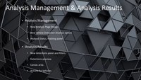 LEMA 2.3 - Analysis Management and Analysis Results