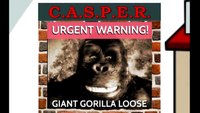 C.A.S.P.E.R. Alerts, Warnings and Fundraising Tool