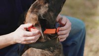 Ep.1 - K9 Dog Training with Mike Ritland: Buying an e-collar