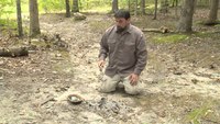 Survival skills: How to boil water with rocks