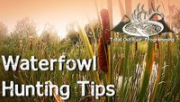Waterfowl hunting tips for beginners
