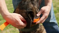 Ep.3 - K9 Dog Training with Mike Ritland: E-collar fitting and set up