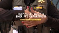 Layers of Safety: The Bernalillo County Sheriff's Department Video Case Study