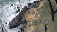 Video: Rescuers use helicopter to save dog from 90-foot cliff