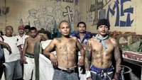 Officer safety with MS13 gangs