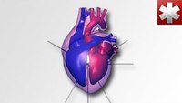 ECG Interpretation: Cardiac Electrical Activity