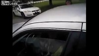 Fla. cop shatters car window at traffic stop