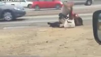 CHP officer scuffles with woman on freeway