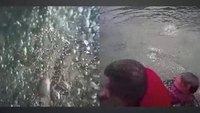 Police TASER suicidal man falls into pool then saved