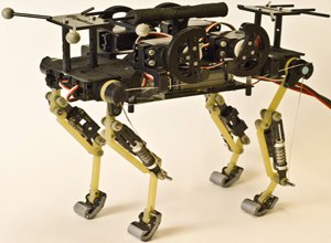 Photo Biorobotics Laboratory