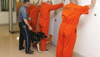 How good security helps inmate re-entry into society