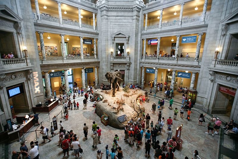 The Smithsonian is one of the most well-known museums in the world, attracting around 30 million visitors a year.