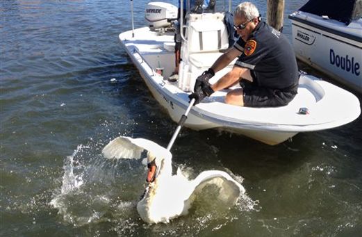 AP Photo/Australian Antarctic Division