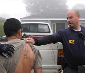 In this photo provided by U.S. Immigration and Customs Enforcement, ICE officers check a tattoo to log any identifiable gang affiliation in Los Angeles, in this photo, date unknown during a nationwide summer crackdown.