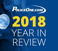 2018 in Review