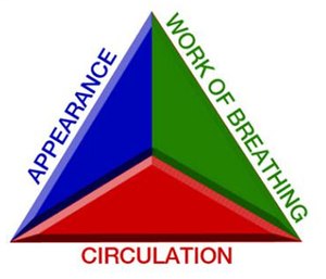 The Pediatric Assessment Triangle is a rapid check of child's appearance, circulation and work of breathing