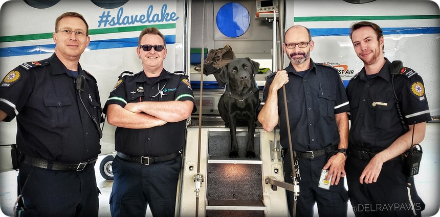 (Photo/Courtesy of AHS EMS PAWS)