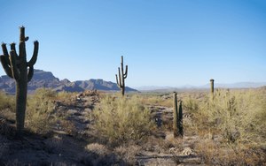 Out of the average 5000+ incidents the Mesa Fire and Medical Department responds to every month, many require dedicated search and rescue missions through its trails and rugged terrain. (image/DJI)