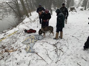 “The dog was bouncing around and ready to go when we got him back up,” Hoffman said.